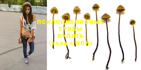 MESCALINE Мегион