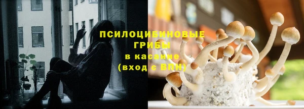 МДМА Сковородино
