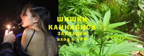 сатива Майский