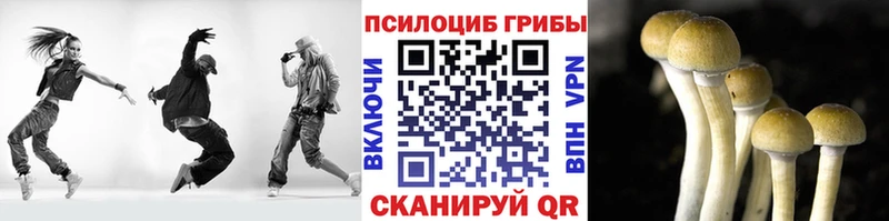 Галлюциногенные грибы Psilocybe  закладки  Никольск 